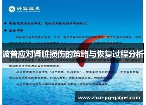 波普应对肾脏损伤的策略与恢复过程分析